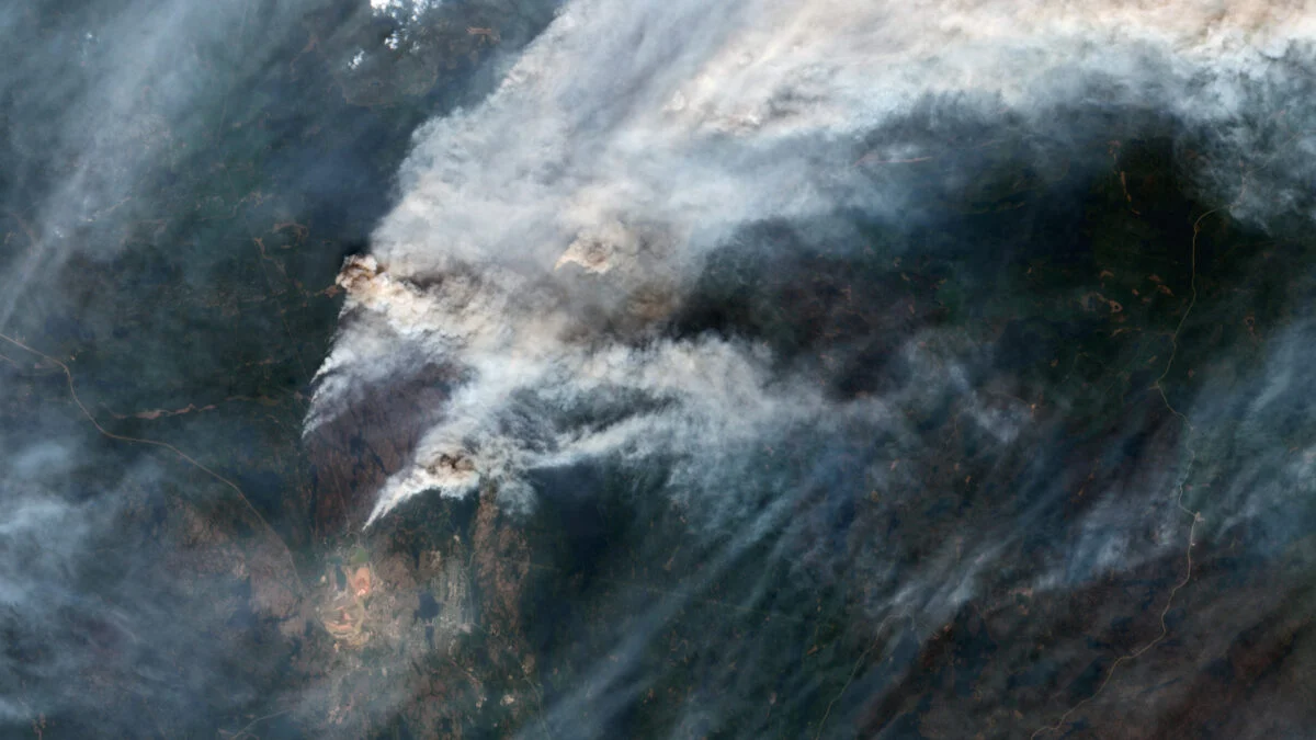 Featured image for Protecting Your Respiratory Health from Wildfire Smoke