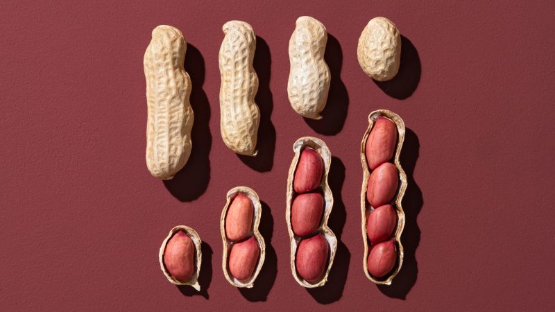 Featured image for Revised Guidelines Lead to Decline in Childhood Peanut Allergies
