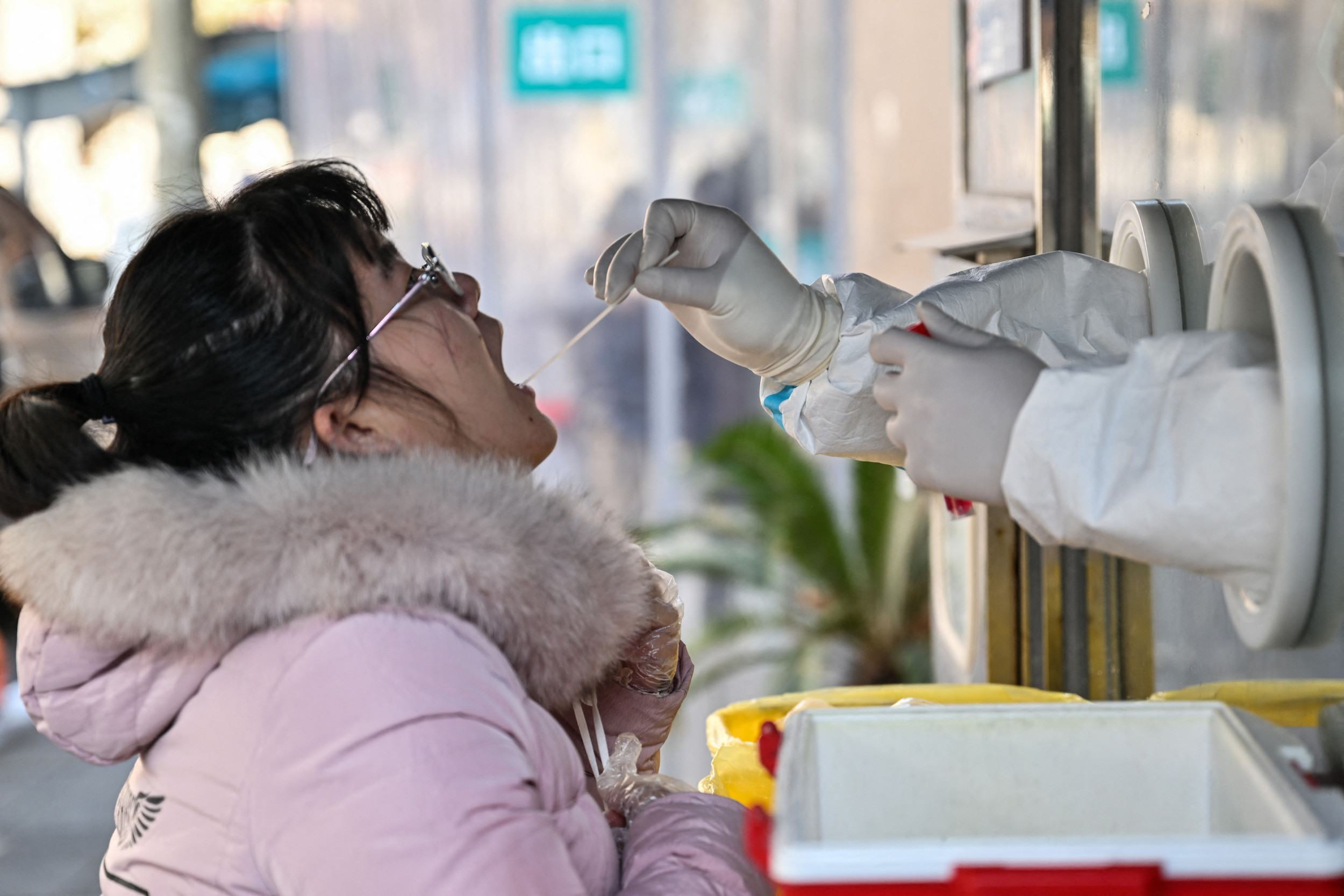"WHO Addresses China's Chimera Bird Flu Cases and Low Spread Risk"