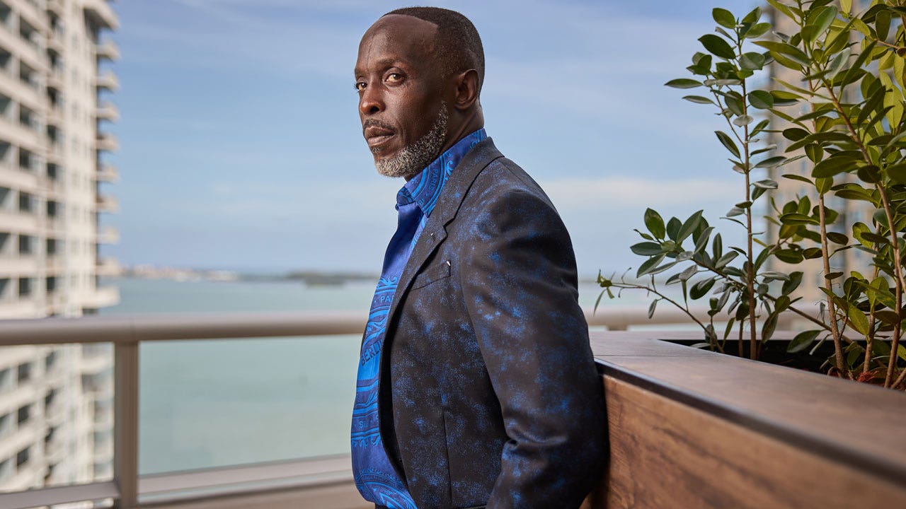 Fentanyl dealer pleads guilty in Michael K. Williams' fatal overdose case.