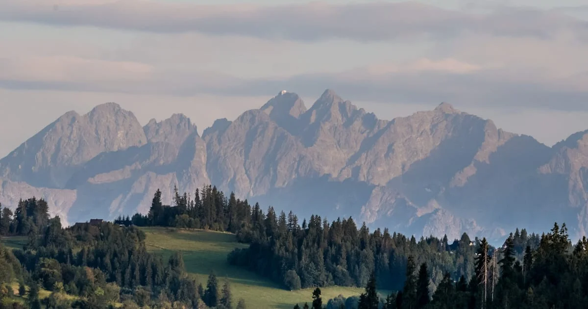 EU ETS Under Pressure as Industry Pushes for Reforms Frays Green Deal