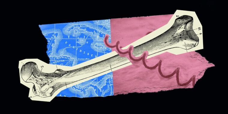 "Medieval Skeleton Sheds New Light on Syphilis History"