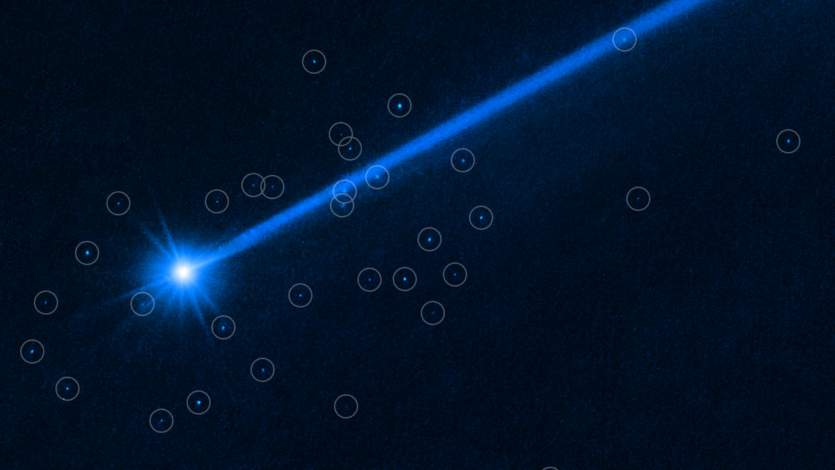Hubble telescope captures boulders launched into space by NASA's asteroid-smashing mission