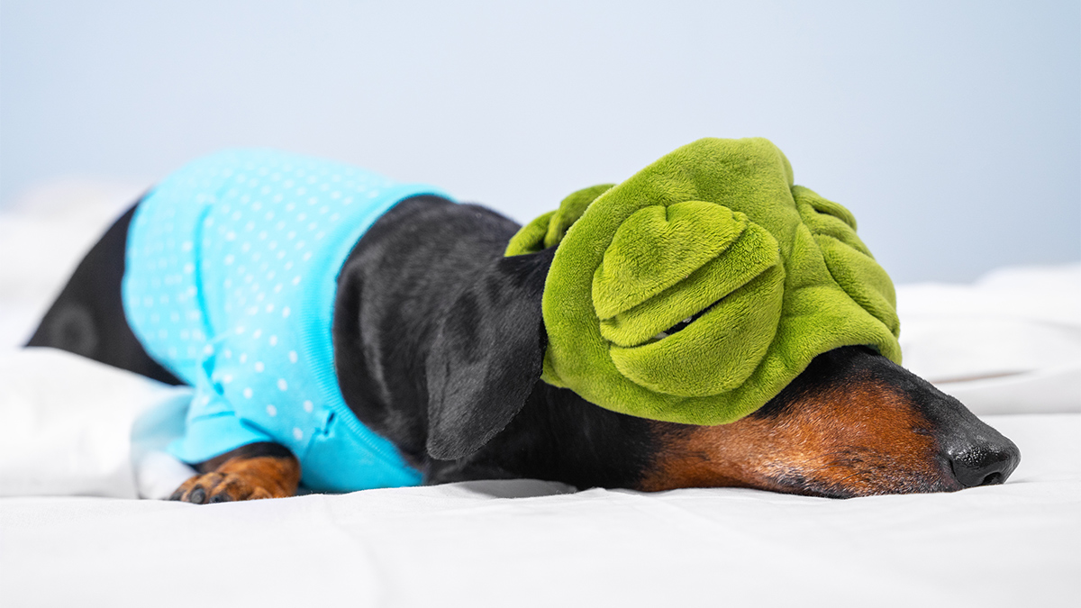 Featured image for "Combatting Burnout: Tips and Signs to Look Out For"