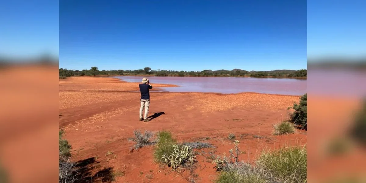 Outback Snapshot: Ecologist Captures Fastest Bird in Flight