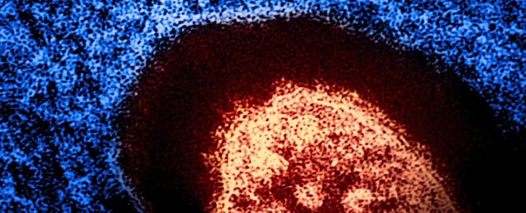 The Hidden Dangers of Measles: Long-Term Health Risks Explored
