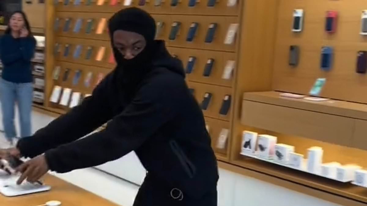 "Rash of iPhone Thefts Plague Bay Area Apple Stores Despite Police Presence"