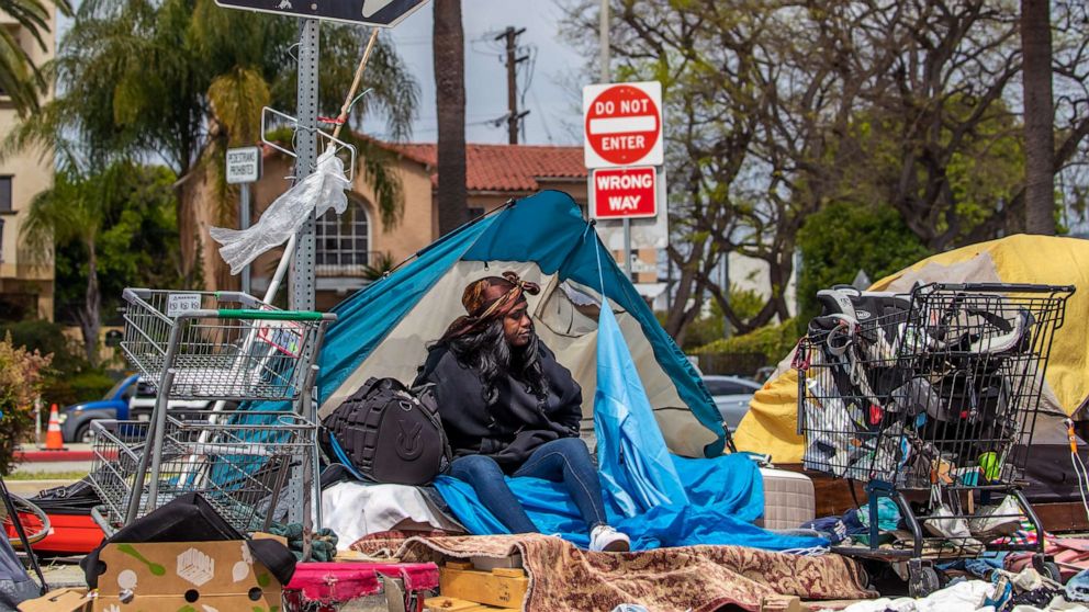 California's Homelessness Crisis: Causes and Solutions Explored in Recent Studies