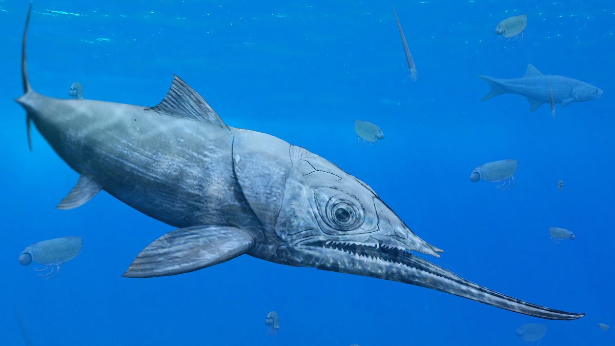 Featured image for "Unearthed: Ancient Fish with Record-Breaking Underbite"