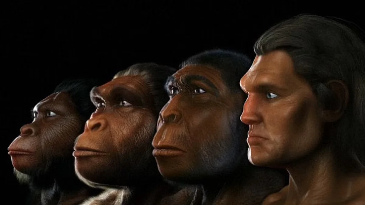 Ancient Human Ancestors Evolved Bigger Brains Due to Climate Change