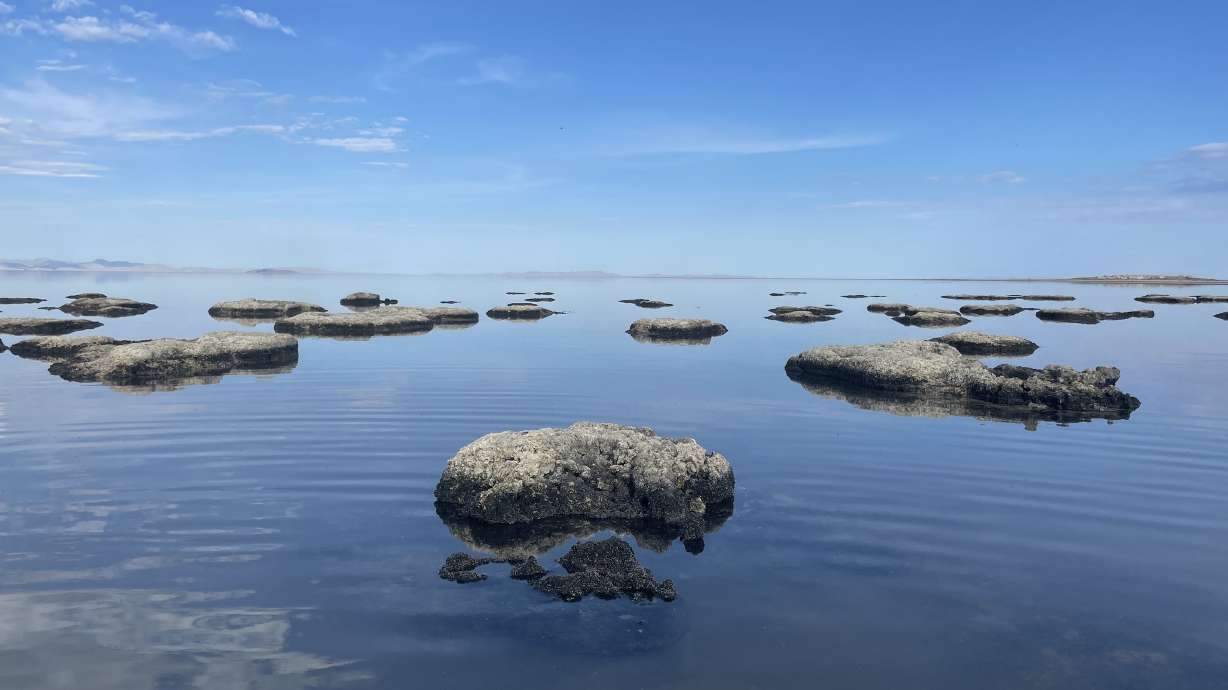 Featured image for "Discovery of New Species in Great Salt Lake Alters Ecosystem Understanding"