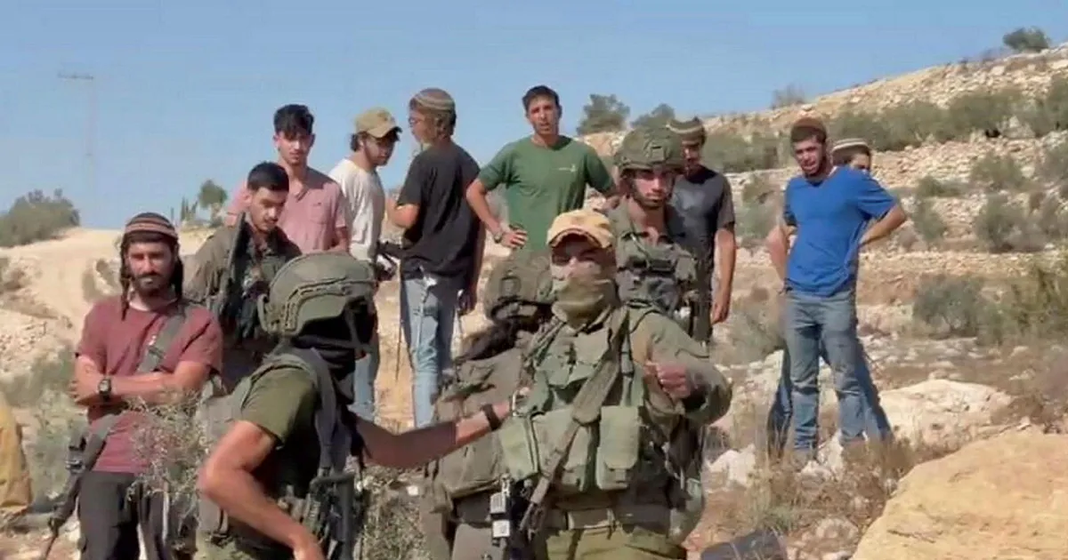 Featured image for Violence Escalates During West Bank Olive Harvest Amid Settler Attacks on Palestinians