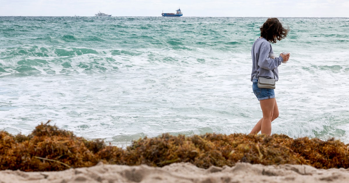 Climate Change Linked to Rise in Flesh-Eating Bacteria Infections in North America