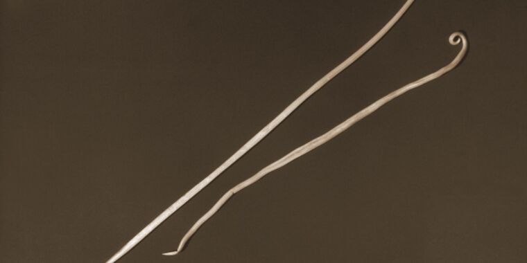 Featured image for "Terrifying Traffic Jam Caused by Giant Worms Roaming Inside Man's Body"