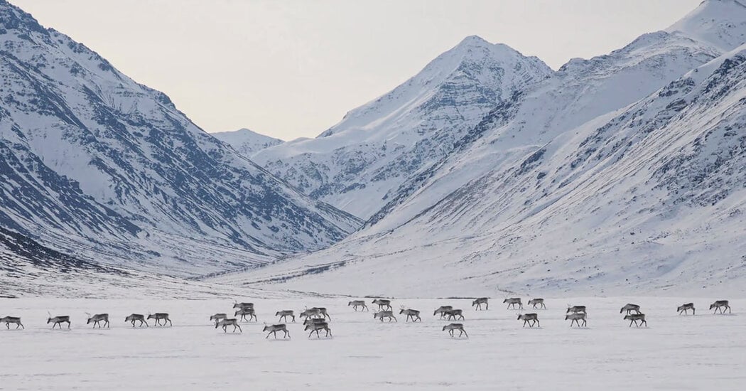 Featured image for "Biden Protects Vast Alaskan Wilderness from Drilling and Mining in Major Environmental Victory"