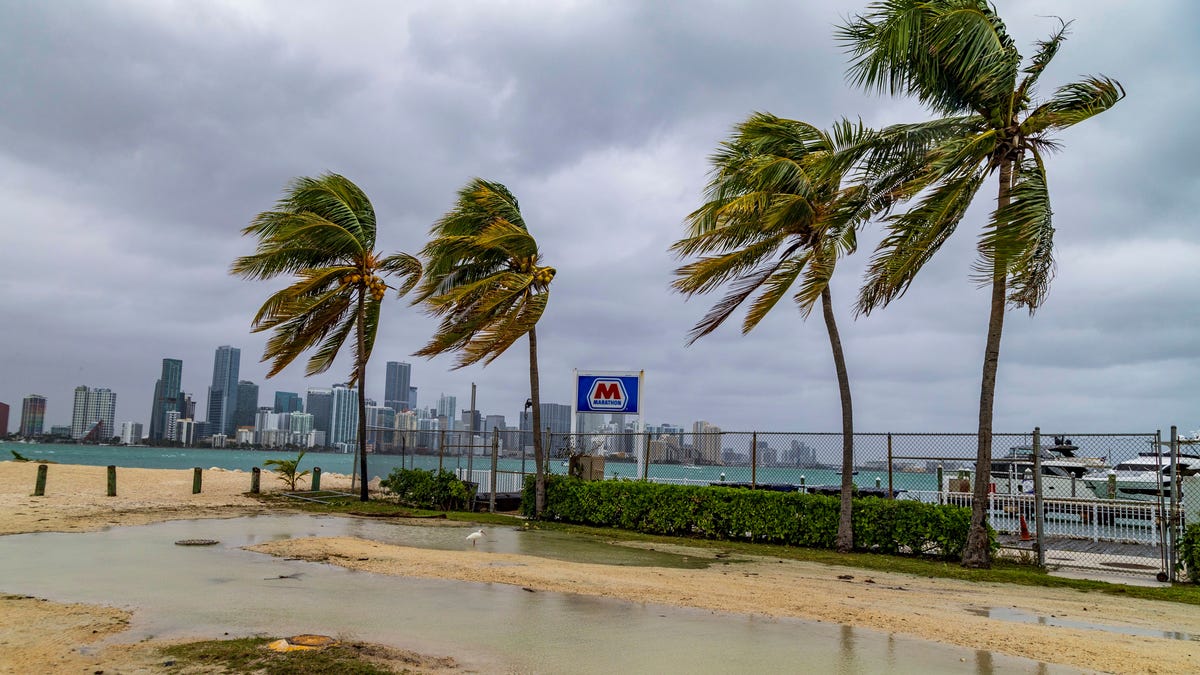 "East Coast on High Alert as 'Bomb Cyclone' Storm Threatens with Flooding and High Winds"