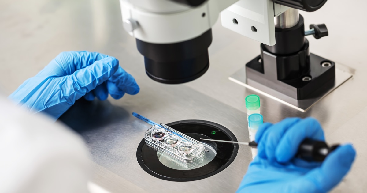 Featured image for "IVF Messaging: Democrats Tie Trump to Alabama Ruling, Impact on Republican Stance"