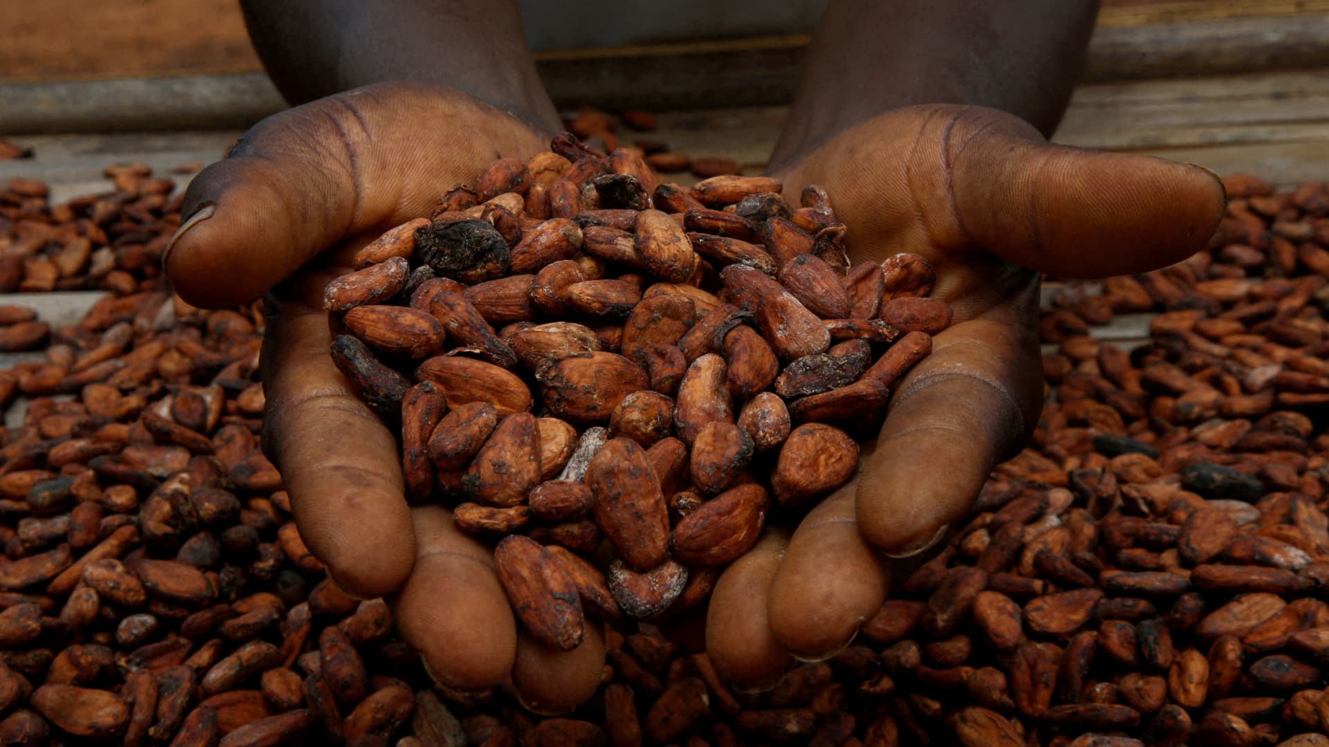 Featured image for "Cocoa Prices Surge to Record Highs, Signaling Trouble Ahead for Chocolate Lovers"