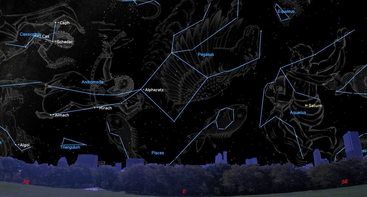 Featured image for Pegasus' Great Square: A Stellar Sight in the Night Sky