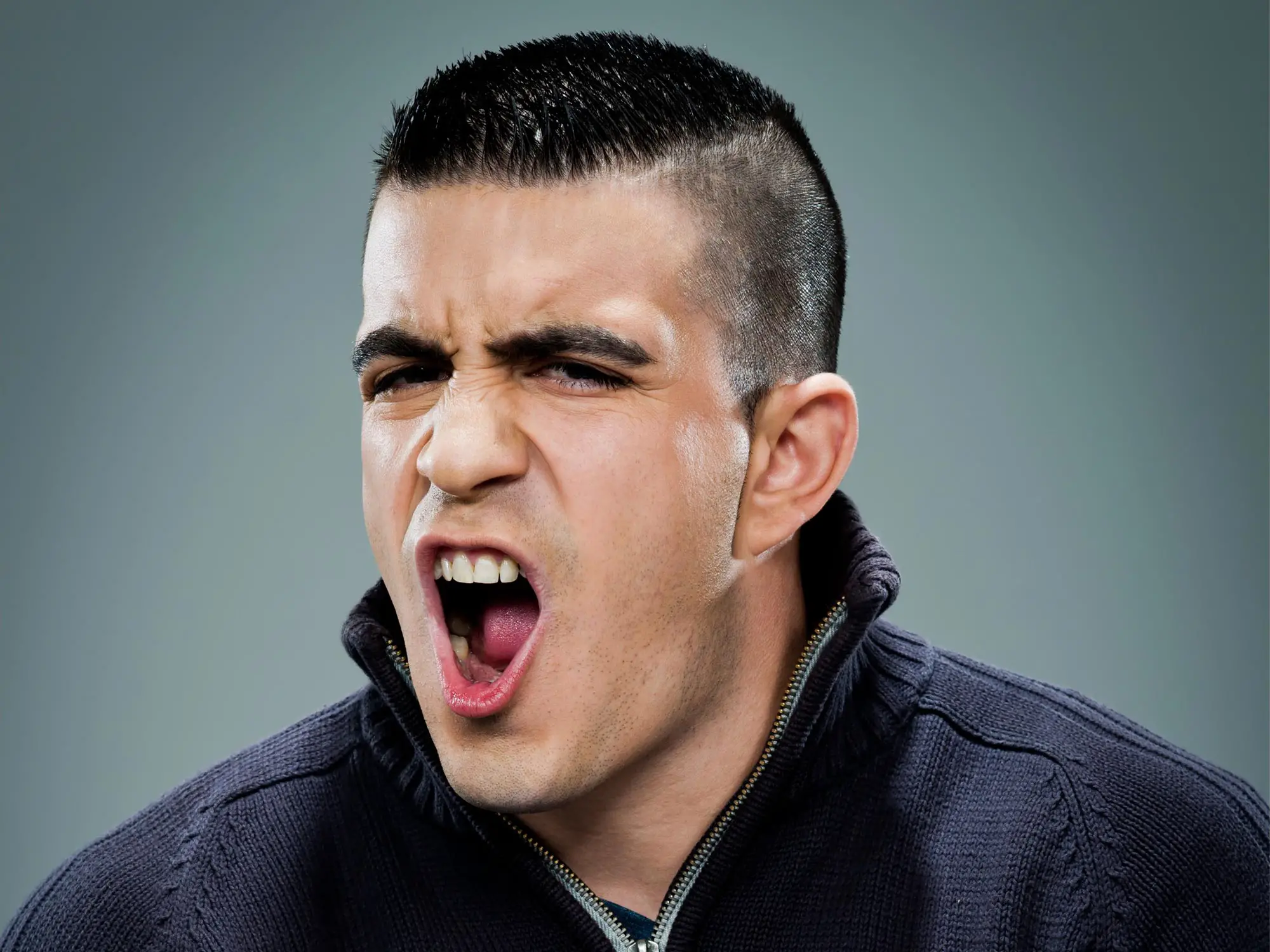 Featured image for The Advantage of Being a Jerk: Insights from Chimpanzee Studies.