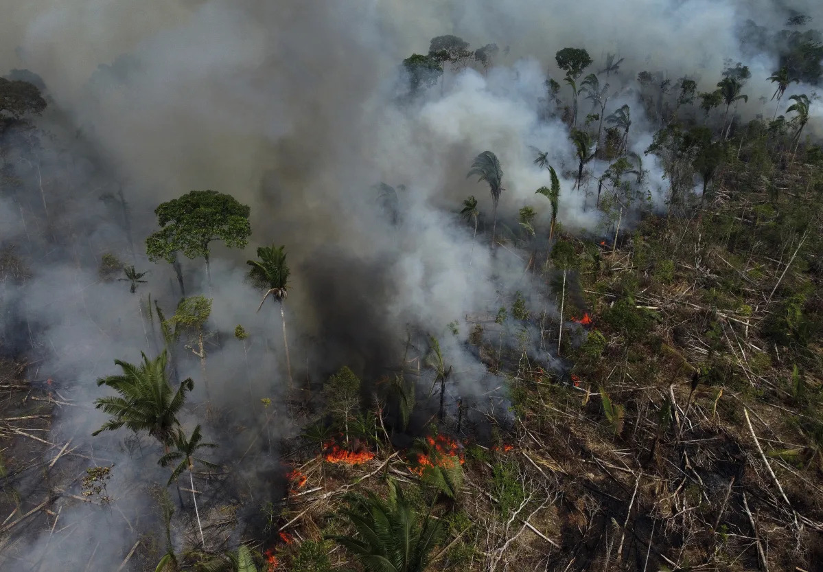 "The Crucial Importance of Protecting the Amazon Rainforest: Governments Unite for Discussion"