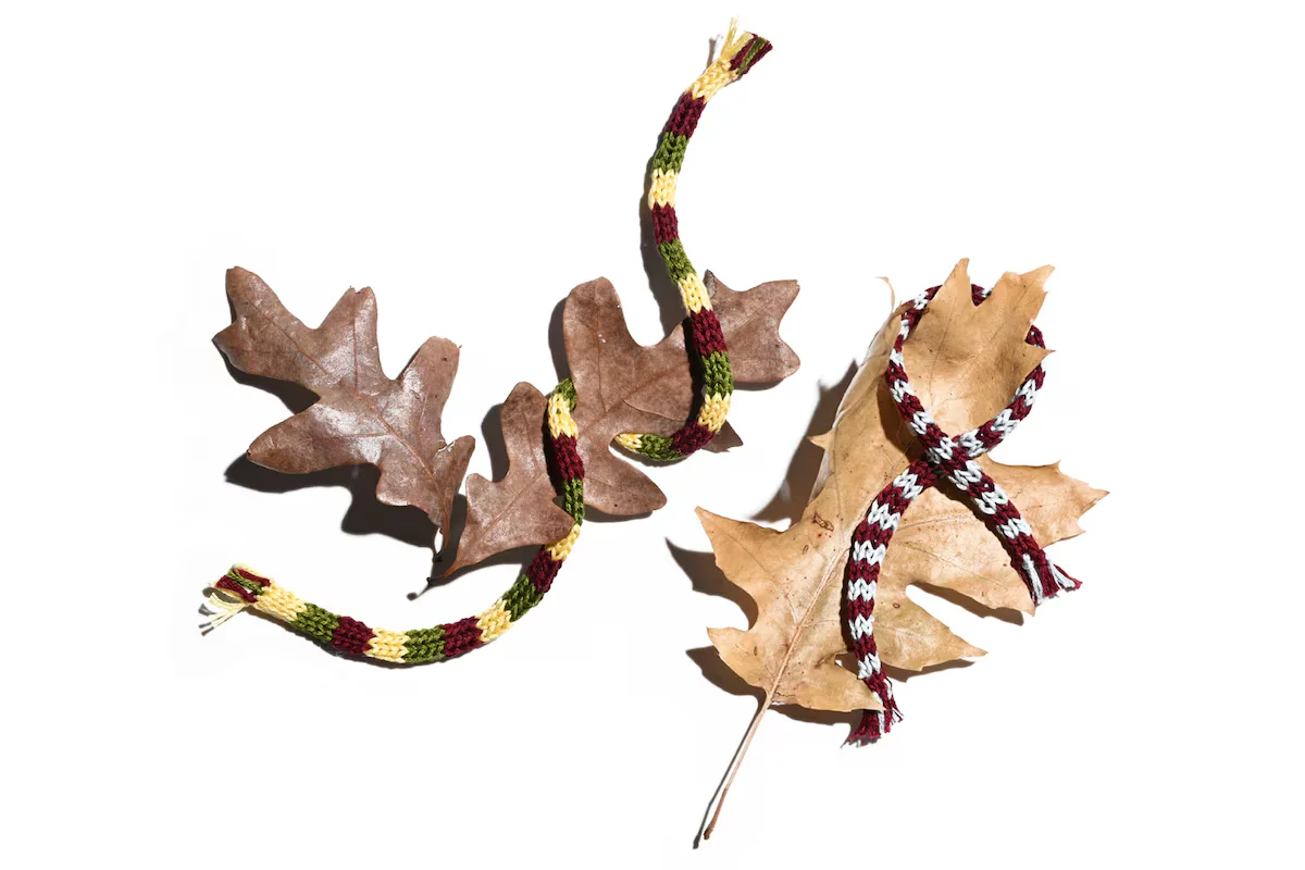 Winter's zombie leaves: why some trees keep dead foliage