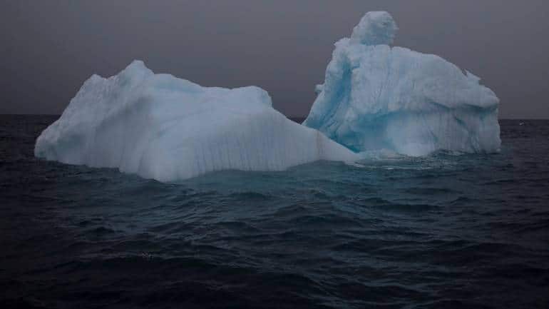 Featured image for Antarctic Discovery: Researchers Uncover Bizarre Strawberry-Like Sea Creature with 20 Limbs