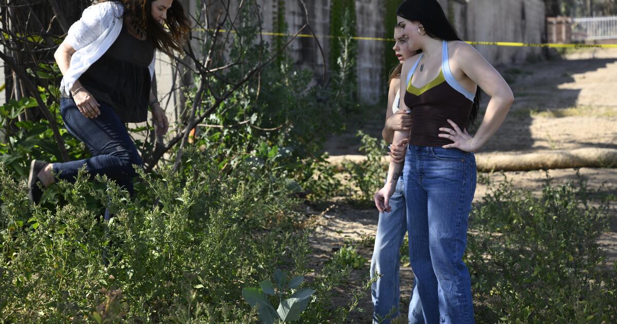 Featured image for Six Months After LA Fires: Challenges and Resilience in Recovery