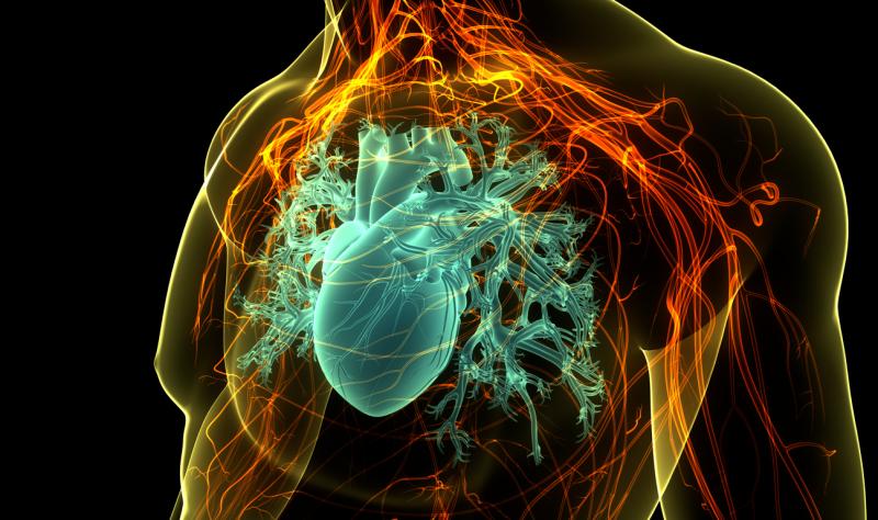 Featured image for COVID-19's Long-Term Impact on Heart Health and the Need for Continued Vaccinations