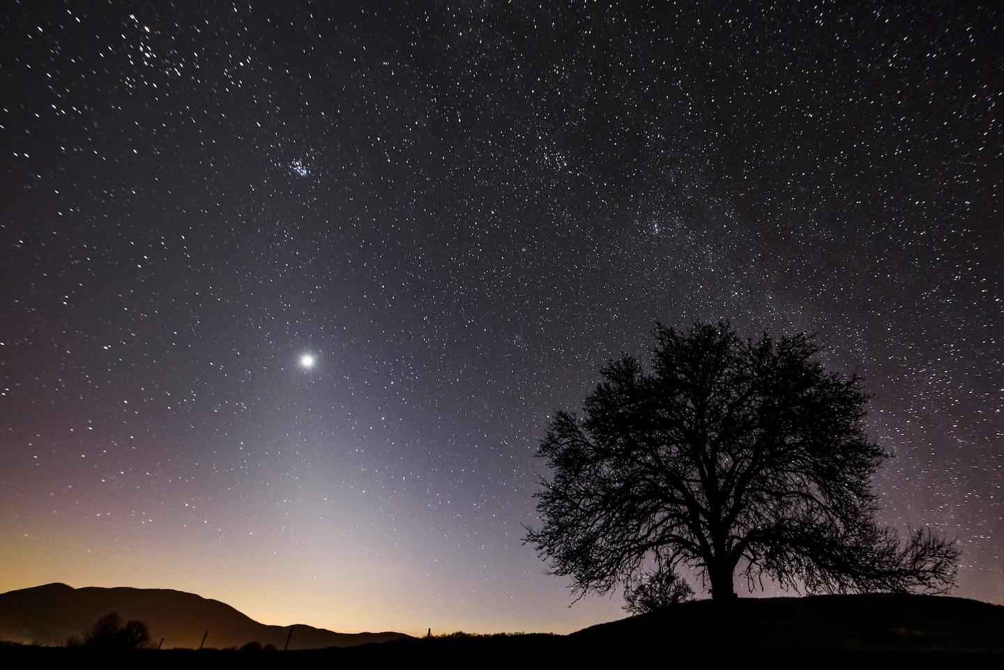 Catch a Spectacular View of 5 Planets Aligned in the Night Sky Tonight!