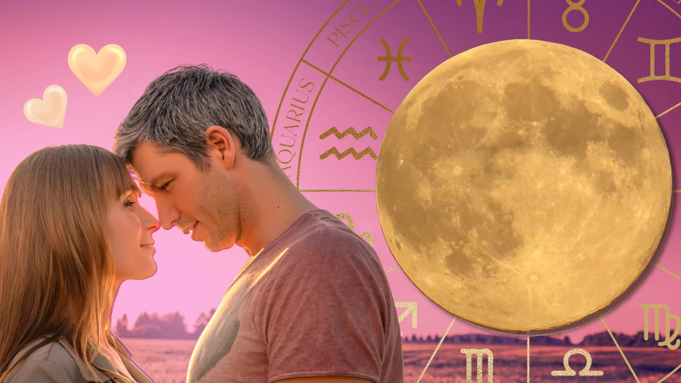 Zodiac Insights: November 29 Horoscopes and Lucky Signs