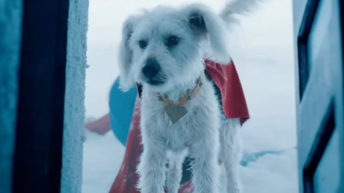 Featured image for Krypto's Superman Spotlight Sparks Massive Dog Adoption Interest