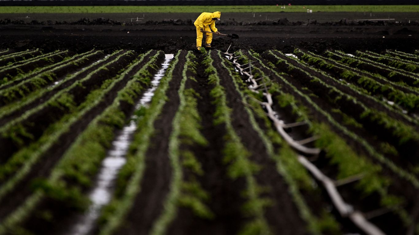 California's Excessive Rainfall Impacts Farmworkers and Crops.