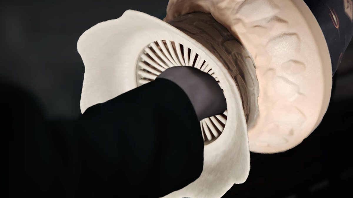 Featured image for "Dune Directors React to Viral Popcorn Bucket Craze"