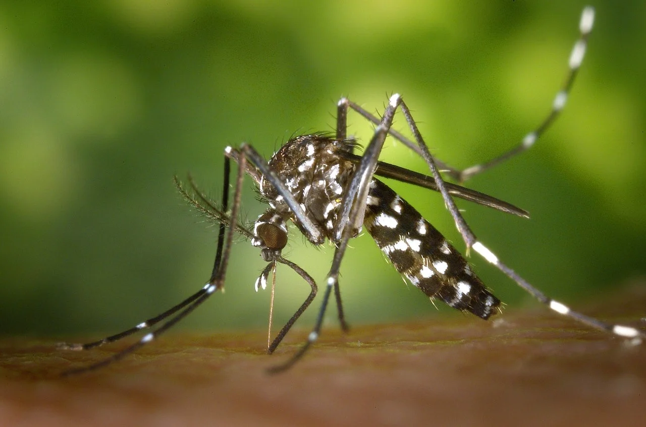 West Nile Virus Spreading in Multiple Counties, Health Departments Issue Warnings