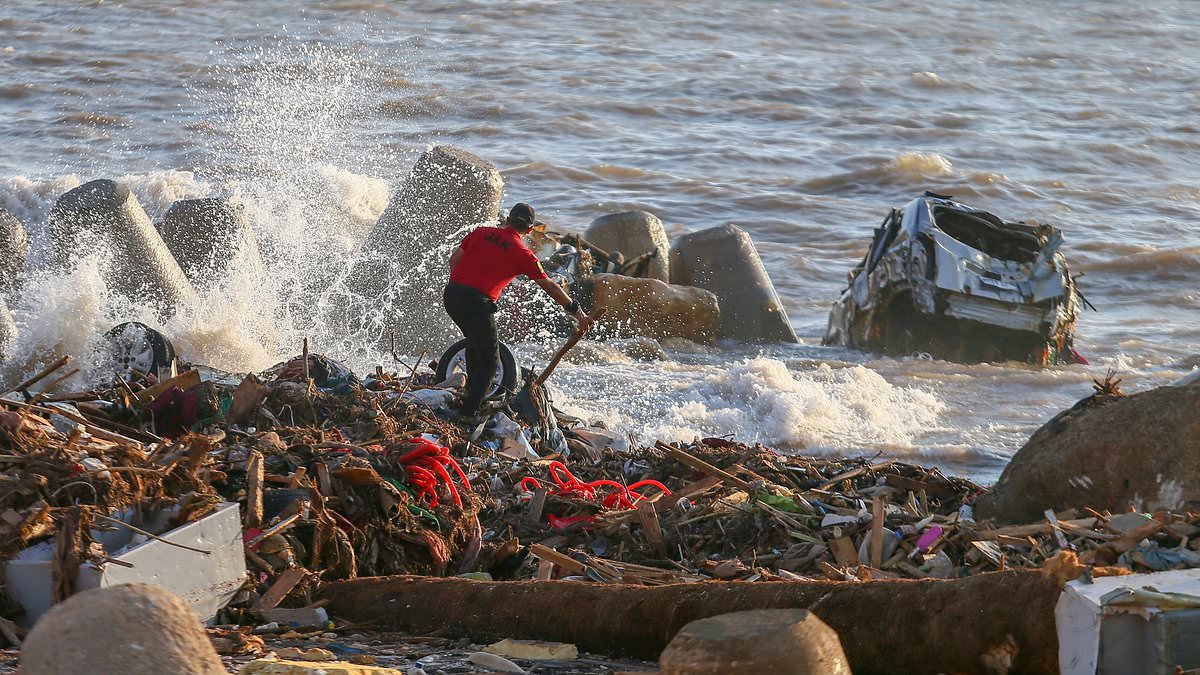 Featured image for "Rescue Teams Brave Debris and Wreckage in Beach Search"