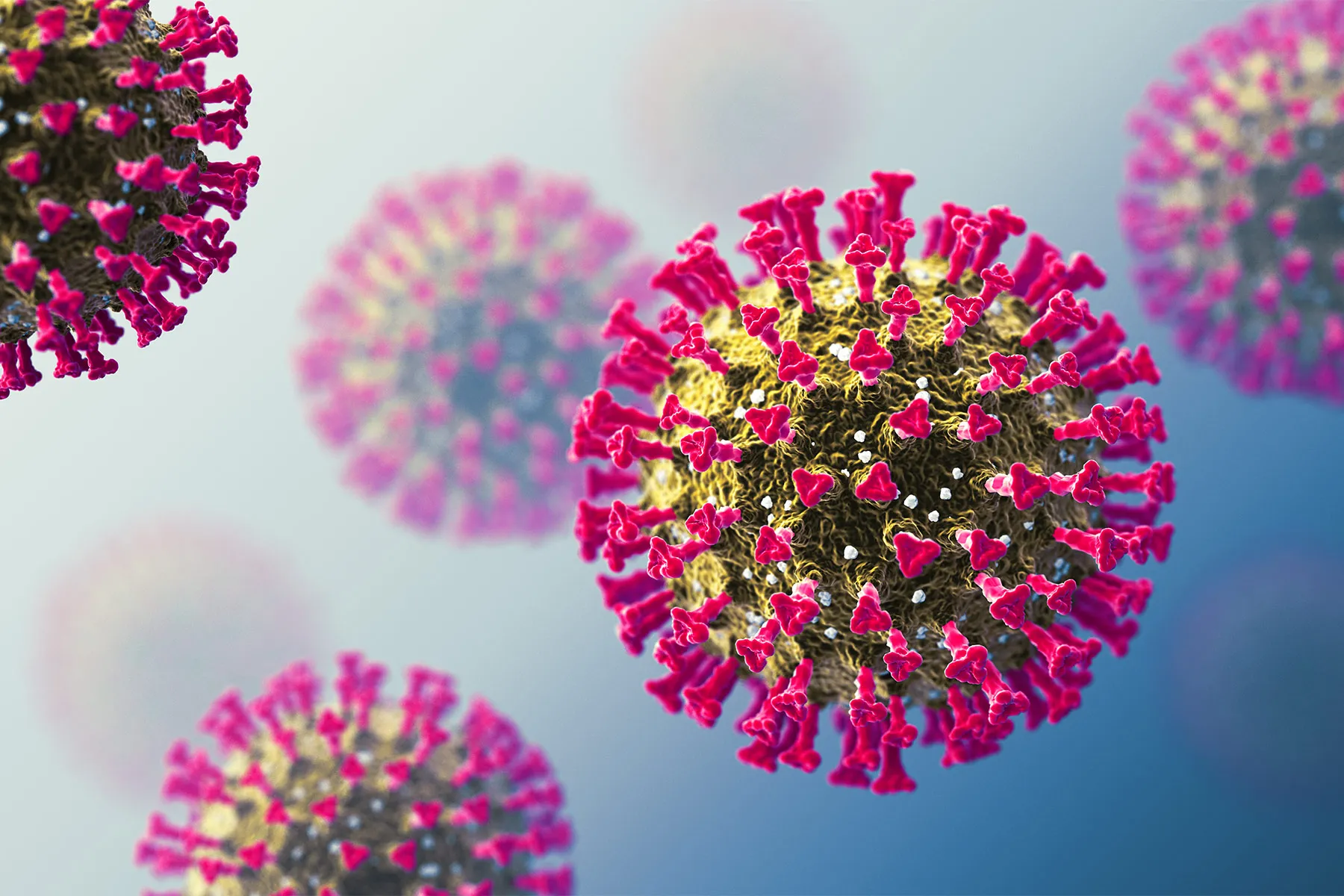 Featured image for "Emerging COVID Variant Faces Resistance from Strengthened Human Immunity"