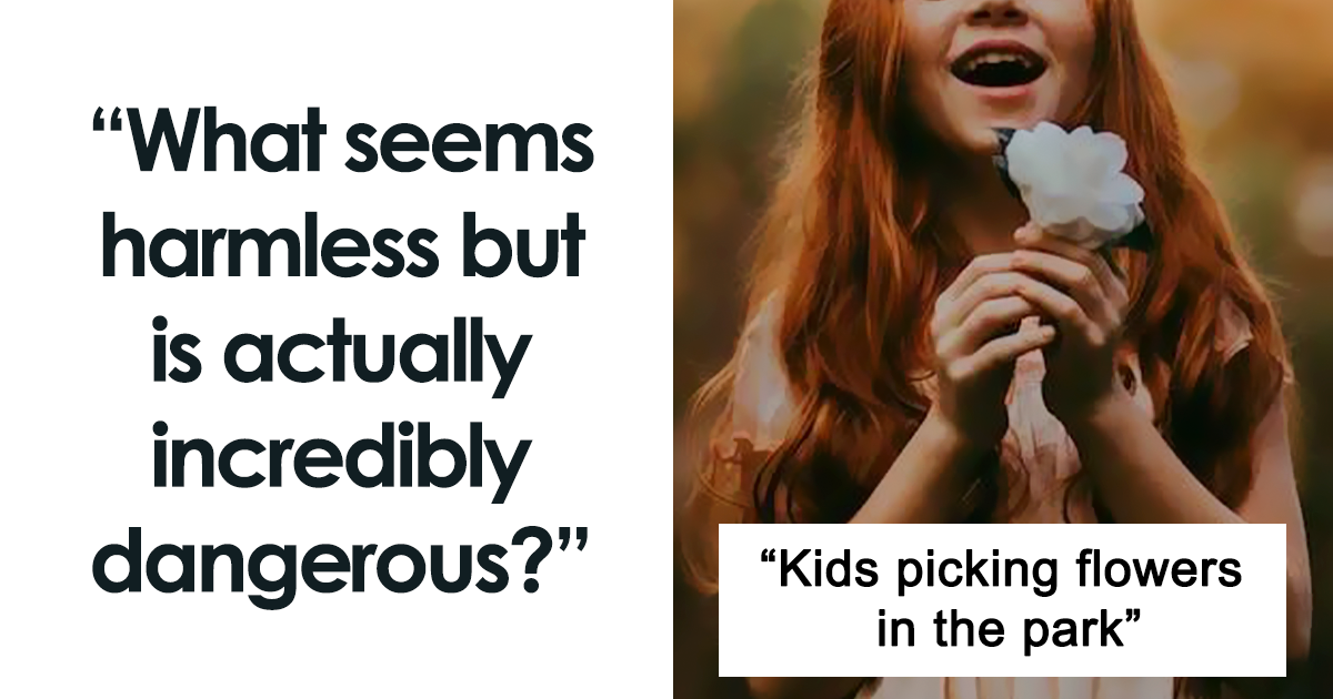 "Internet Users Reveal Surprising Dangers of 'Harmless' Things"